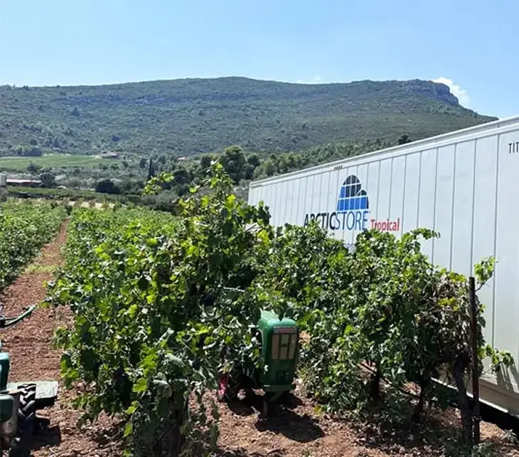 Agriculture Sector
