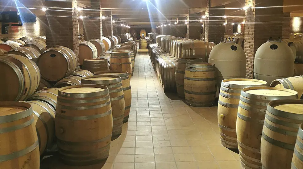 TITAN-Containers-Hellas-Wineries7_982x547px-1