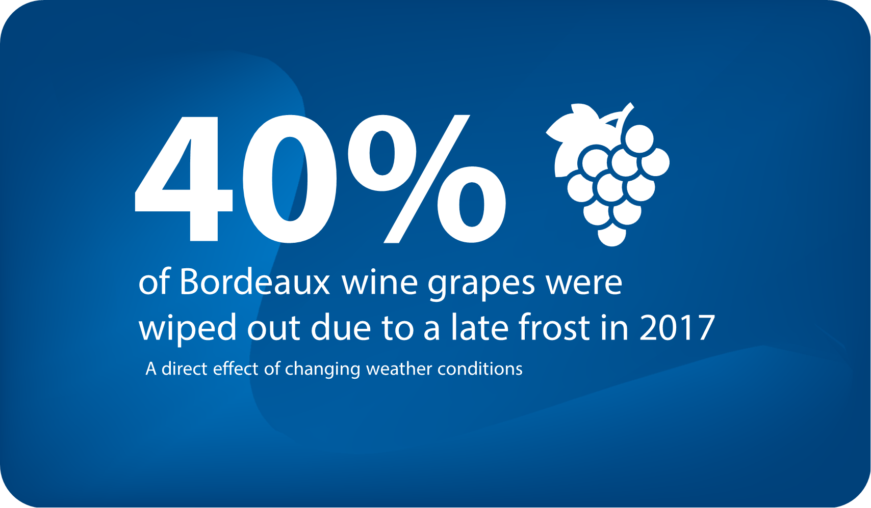 Cold Storage for the Wine Sector