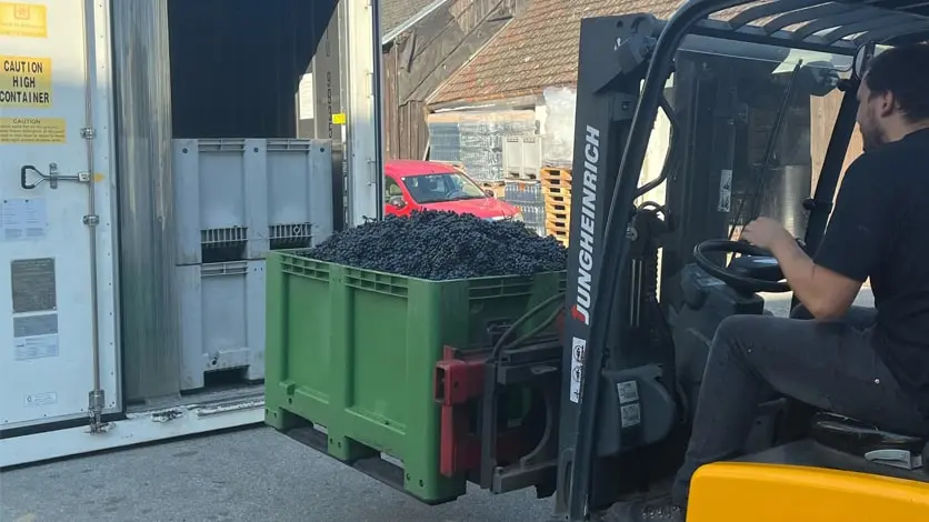 Cold Storage for the Wine Sector