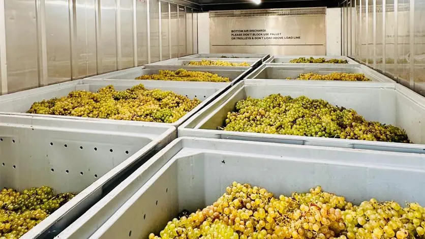Cold Storage for the Wine Sector