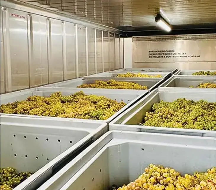 Cold Storage for the Wine Sector